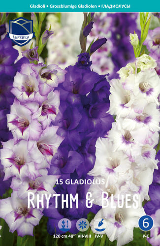 Смесь гладиолусов Rhuthm & Blues /15шт