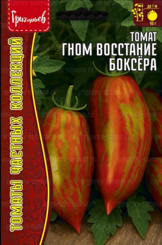 Томат Гном Восстание Боксёра