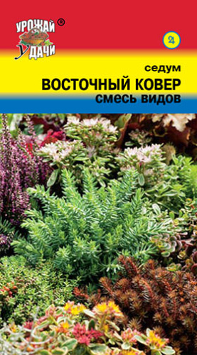 Седум Восточный ковер смесь видов 