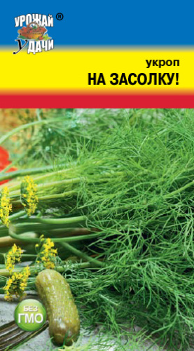 Укроп На Засолку