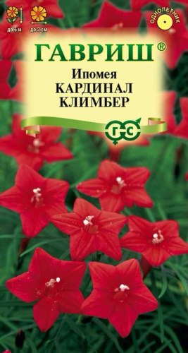 Ипомея квамоклит Кардинал Климбер