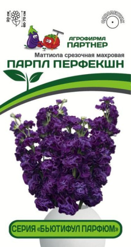 Маттиола Бьютифул Парфюм Парпл Перфекшн срезочная махровая