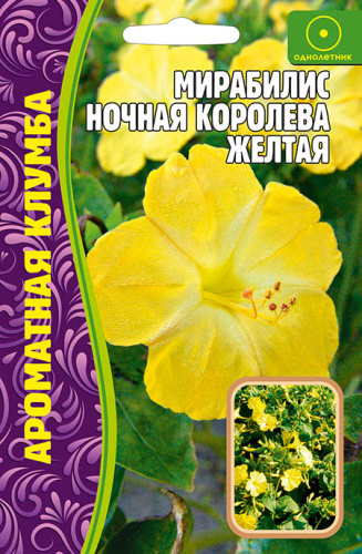 Мирабилис Ночная Королева Желтая