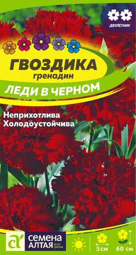 Гвоздика Гренадин Леди в черном
