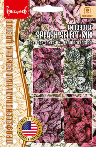Гипоэстес Splash Select Mix