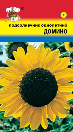Подсолнечник Домино 