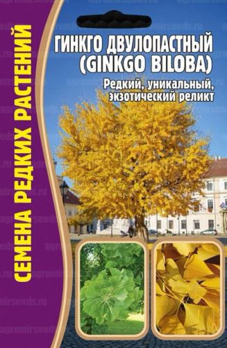 Гинкго Двулопастный