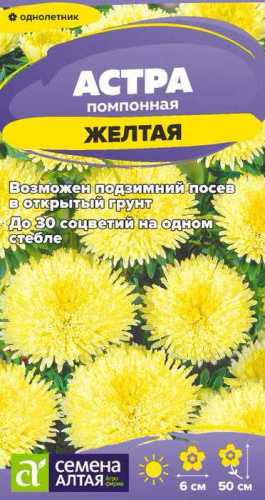 Астра Жёлтая помпонная
