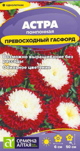 Астра Превосходный Гасфорд помпонная