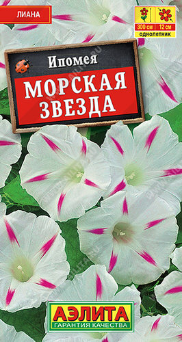 Ипомея Морская звезда 