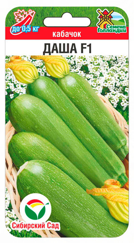 Кабачок Даша