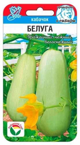 Кабачок Белуга
