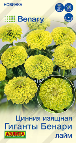 Цинния Гиганты Бенари лайм Benary