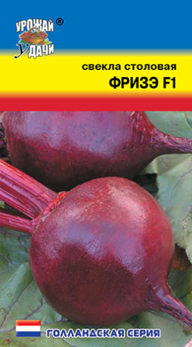 Свекла Фризэ (тип Пабло)