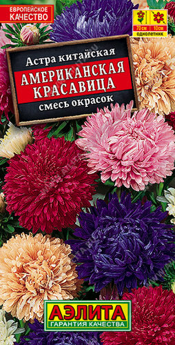 Астра Американская красавица, смесь
