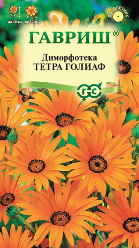 Диморфотека Тетра Голиаф 