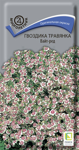 Гвоздика травянка Вайт-Ред