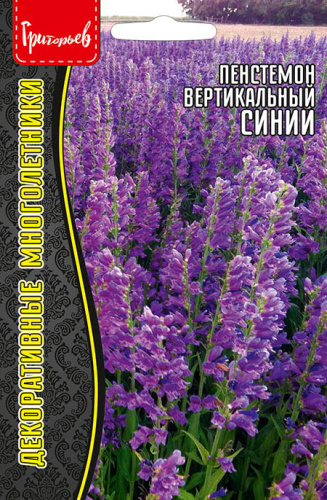 Пенстемон Синий вертикальный