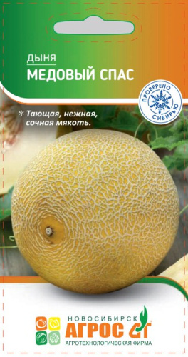 Дыня Медовый спас