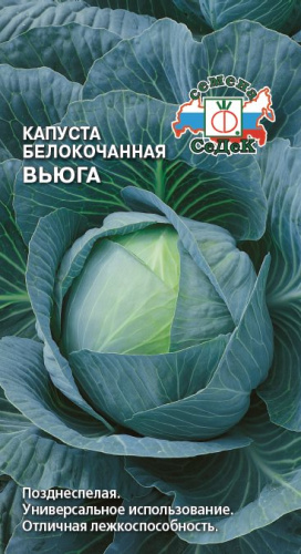 Капуста Вьюга