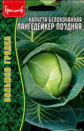 Капуста Лангедейкер поздняя 300шт