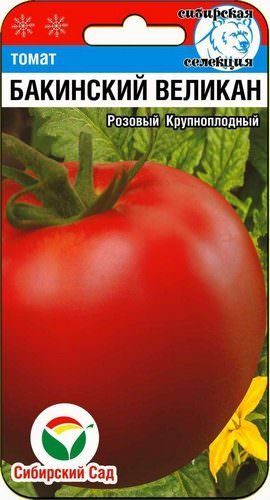 Томат Бакинский великан