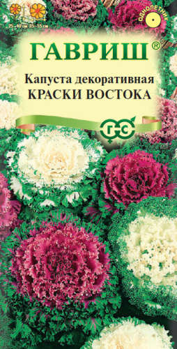 Капуста декоративная Краски Востока 