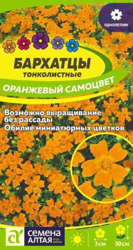 Цветы Бархатцы Оранжевый Самоцвет тонколистн.