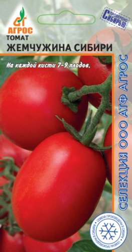 Томат Жемчужина Сибири 