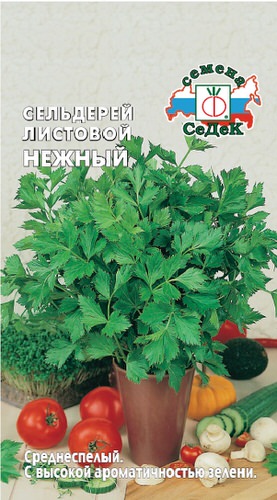 Сельдерей Нежный листовой