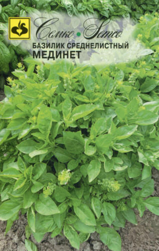 Базилик Мединет 