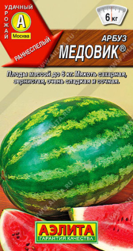 Арбуз Медовик 