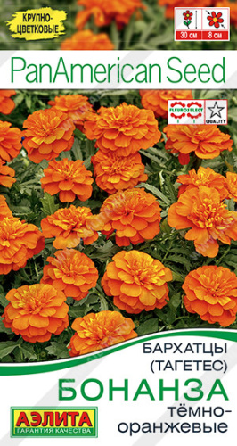 Бархатцы Бонанза темно-оранжевые