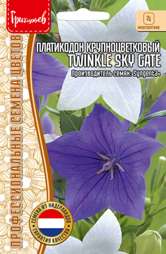 Платикодон Twinkle Sky Gate крупноцв
