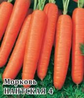 Морковь Нантская 4  25г купить