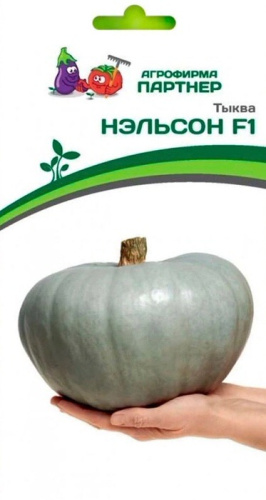 Тыква Нэльсон F1