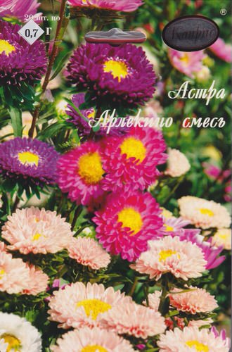 Астра смесь Арлекино/1шт