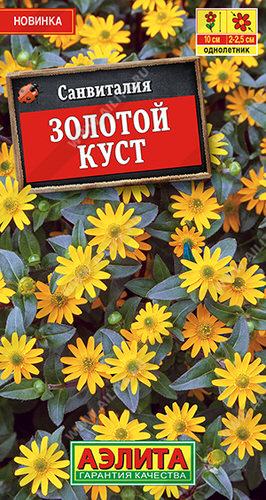 Санвиталия Золотой куст 