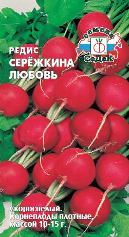 Редис Сережкина любовь 