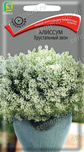 Алиссум Хрустальный звон
