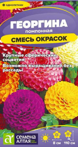 Георгина Помпонная Смесь