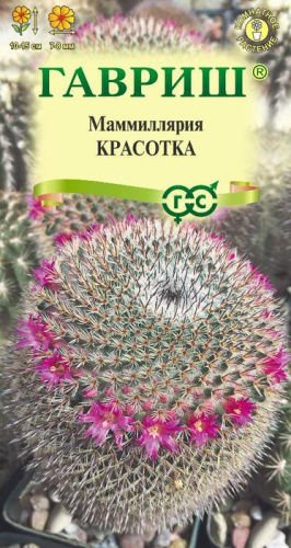 Маммиллярия Красотка