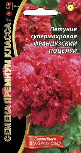 Петуния Французский Поцелуй