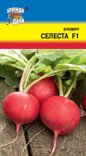 Редис Селеста F1 