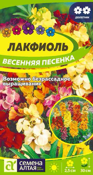 Лакфиоль Весенняя песенка