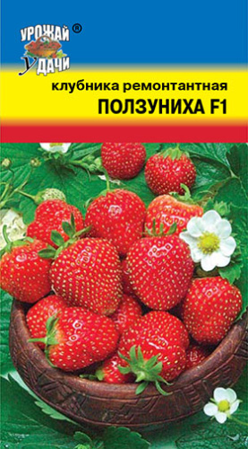 Клубника Ползуниха F1 