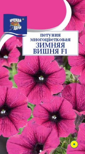 Петуния ЗИМНЯЯ ВИШНЯ F1