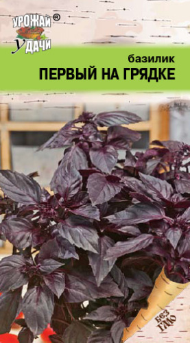 Базилик ПЕРВЫЙ НА ГРЯДКЕ