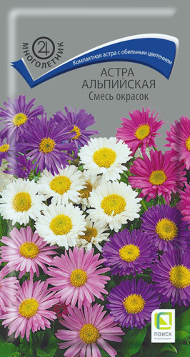 Астра альпийская, смесь 
