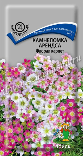 Камнеломка Арендса Флорал карпет